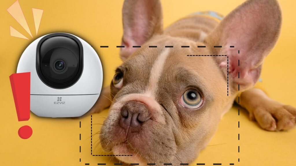 cámara de seguridad WiFi con detección de movimiento de mascotas y humanos