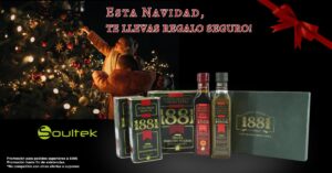 Celebra la Navidad con Soultek